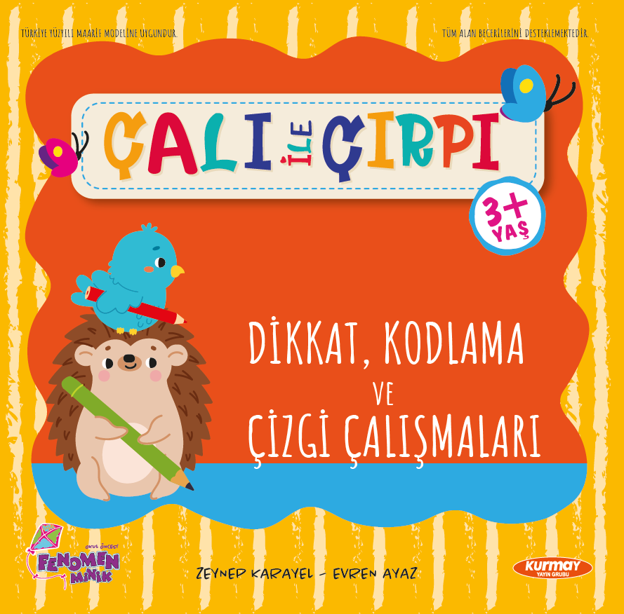 Dikkat Çalışmaları